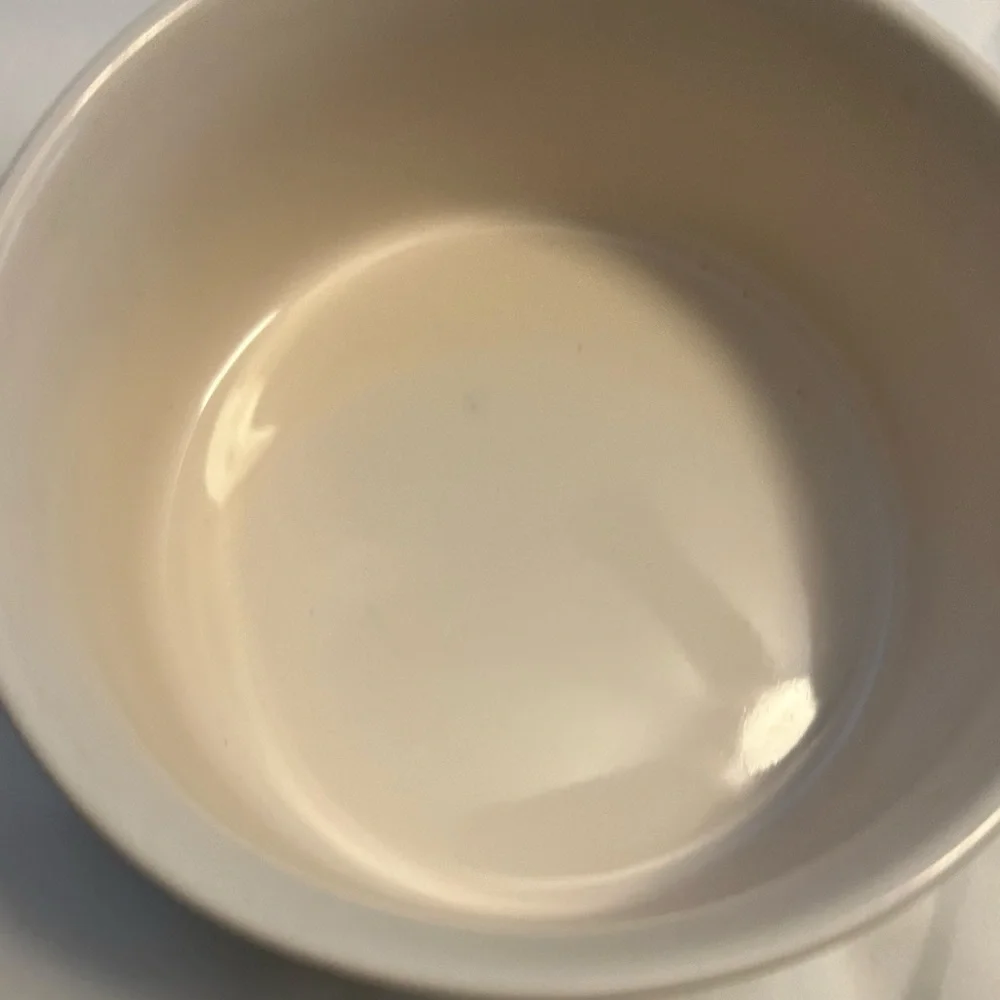 Rae Dunn “Treat” dog dish. Artisan Collection By Magenta White 6 in.